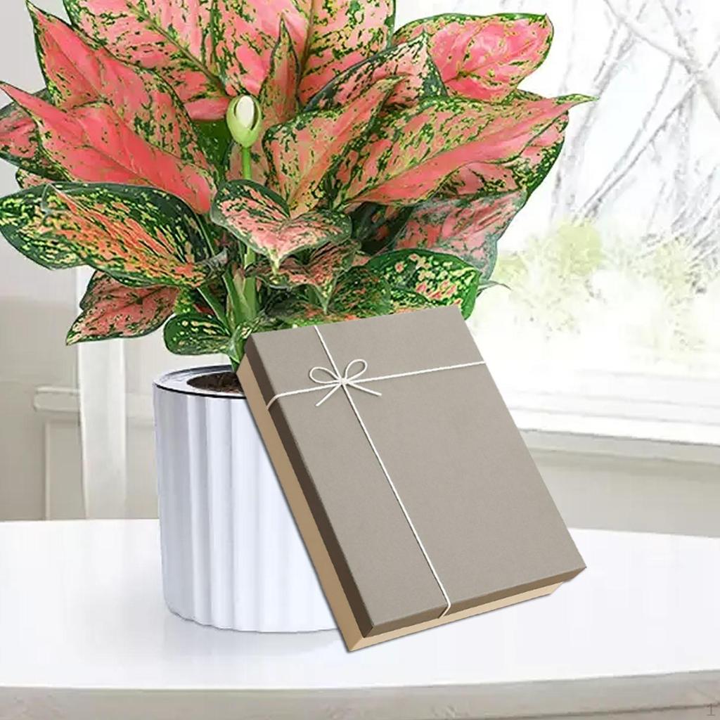 Empty Gift Box Mother's Day Cardboard Creative with Lid Rectangular Packaging for