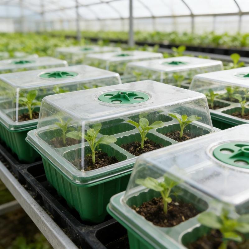 Seedling Tray With Lid 6 Hole Plant Germination Kit Greenhouse Propagation Box With Vent Portable Nursery Pots Succulent Flower