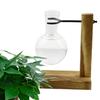 Glass Desktop Planter Bulb Vase Wooden Stand Hydroponic Plant Container Decor Living Room Office Plant Propagation Station