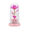 Gold Foil Flower Night Light Rose Ornament Creative Immortal Flower Glass Cover Lamp Mother's Day Gift Setting