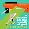 A Feather On the Breath of God by Sigrid Nunez Paperback Book 9780349014258