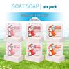 Coconut, Honey & Oatmeal Goat Milk Soap (2x100g)