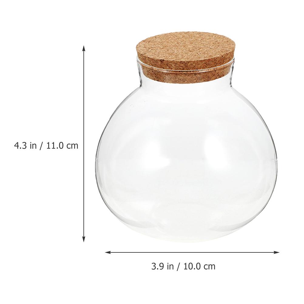 Round Glass Jar DIY Ecological Bottle Desktop Micro Landscape Plant Terrarium Vase Home Decor Bottle Mini Planter Empty Jar