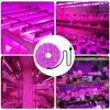 1M/2M/3M/4M/5M Pflanzenlicht Grow LED-Streifen 5V USB LED 1-5m Vollspektrum Wasserdichter LED-Chip für Gewächshaus Blume Setzling Grow Box Hydroponik