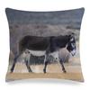 Home Decor Donkey Art: Various Scenes and Portraits Pattern Cushion Cover Suitable for Sofa Bedroom Car Pillow Cover