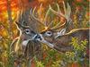 5D diamantová malba s motivem jelena, lesní krajina, křížkové stehy, diy diamantová výšivka, mozaika, kamínky, dekorace, vánoční dárek, výprodej.