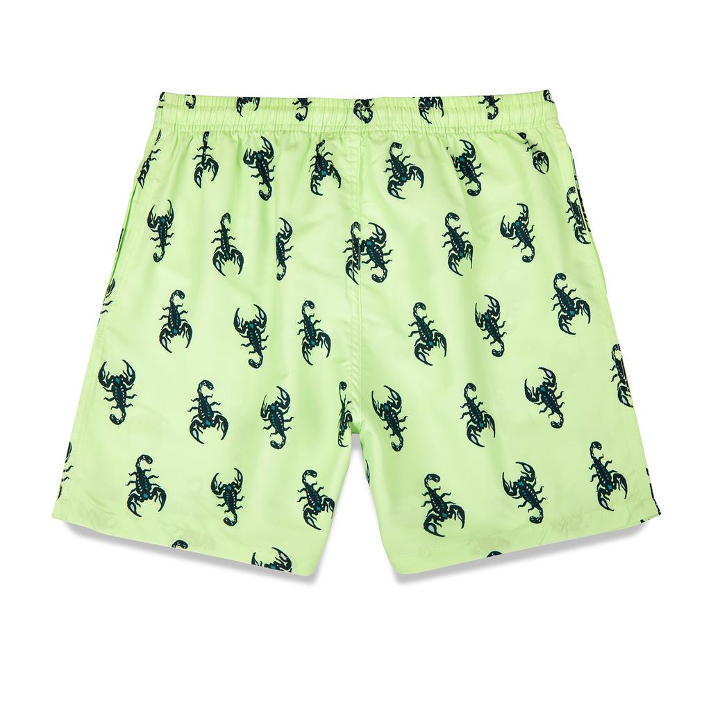 Mens Swim Trunks Quick Dry Swim Shorts With Mesh  Funny Swimwear Bathing Suit