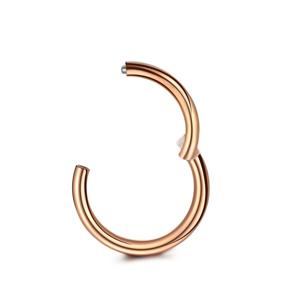 1Pc 316L Stainless Steel Nose Septum Clicker Hinged Segment Ring Nose Hoops Lip Ear Cartilage Ear Helix Body Piercing Jewelry