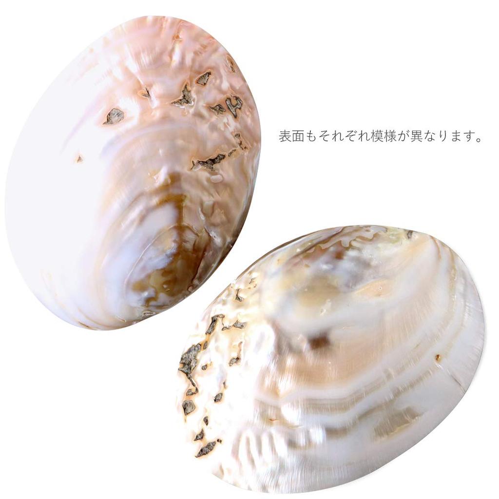 Weißer Salbei viel Glück Reinigungszubehör Australische Hirschgeweih-Perlmuschel [GOLDSTEIN] Reinigung, Amulett, Glück, Waren, Platte, Muschel,