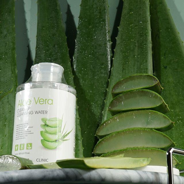 

WLVRWWMF Light and Thorough Cleansing Water 500ml, Free of Artificial Fragrances