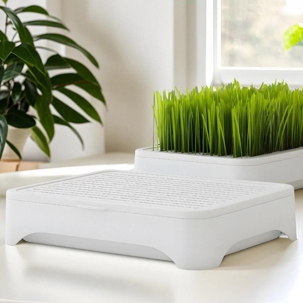 Self-planted Tray Cat Grass Planter Anti-Pull Out Wheat Seedling Pot Home Gardening