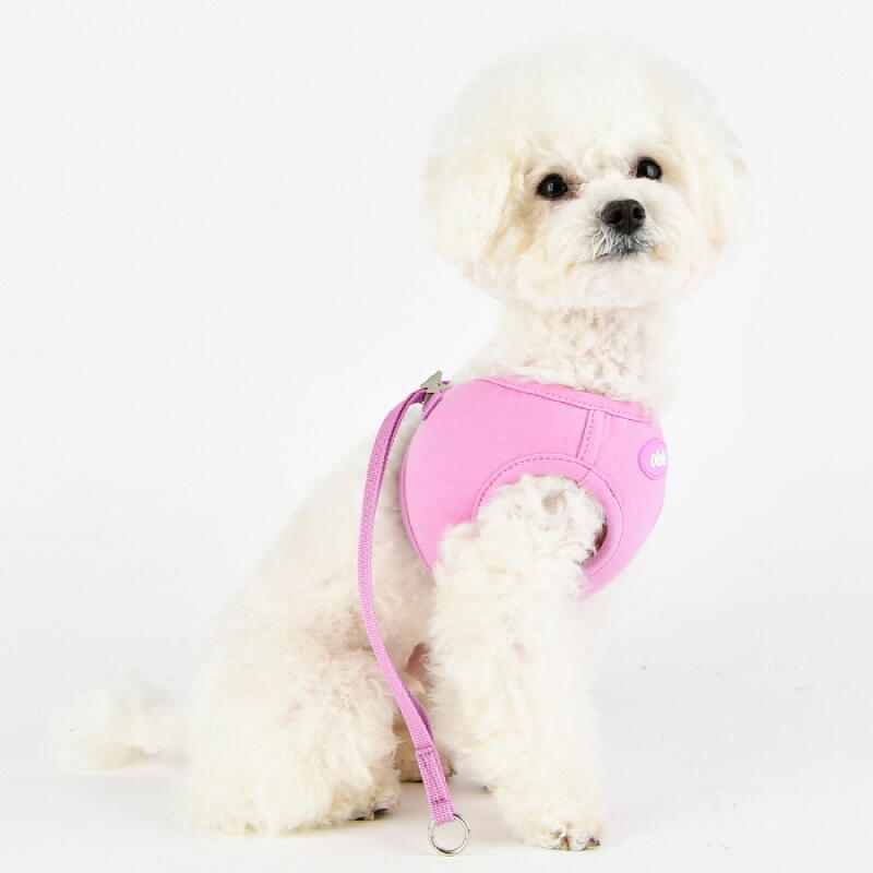 Macaron-Geschirr (OASD-HQ6028)