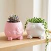 Happy Expression Shy Cover Eyes Character Plant Pot Face Succulent Planter Desk Room Decor