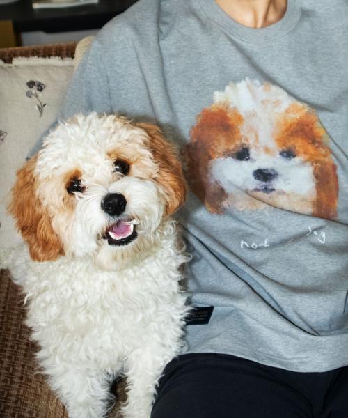 GROUNDWORK Not My Dog T-Shirt / Melange Gray
