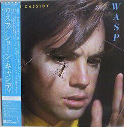 LP Record SHAUN CASSIDY  Wasp P10834W WARNER BROS 1980 Japan Obi Rock Used