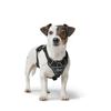Dog Harness Hunter DIVO UP Black L
