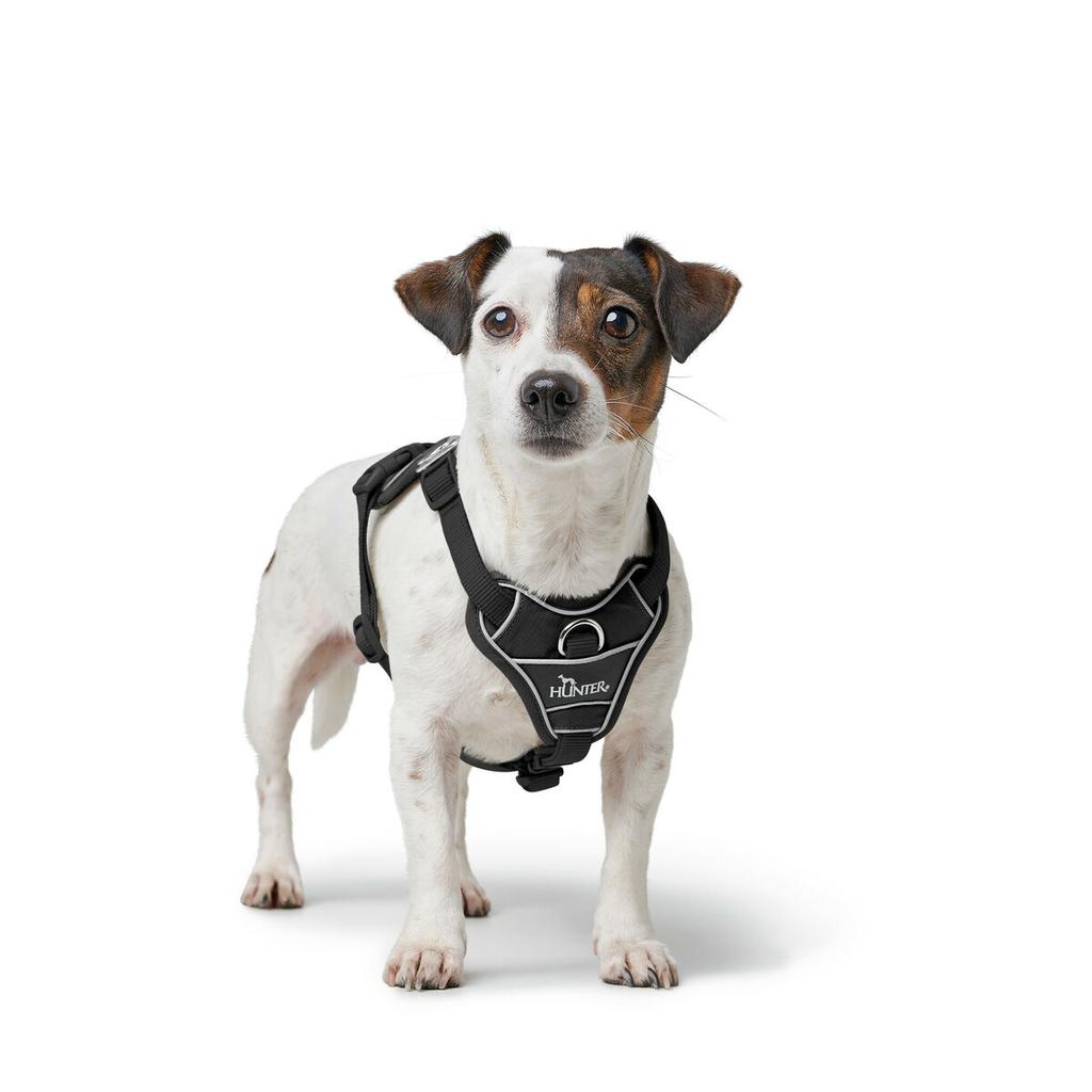 Dog Harness Hunter DIVO UP Black L