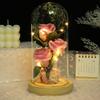 Valentine's Day Gift with Lamp Glass Cover Rose Gypsy Star Gift Box Birthday Gift Girlfriend Girlfriend Wife Night Light