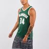 Nike Koszulka NBA Antetokounmpo Bucks Edycja Ikoniczna Hunter Green/Złota/Biała Męska Streetwear CW3672-329