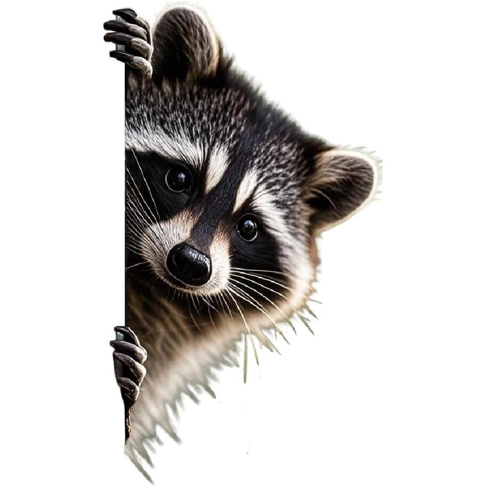 

2Pack Peeking Raccoon Stickers,Funny Raccoon Cute Car Decal 4.69 * 7.87 Inches Decal Car Window Laptop Wall Bumper Sticker (1 Left 1 Right) 2 Right