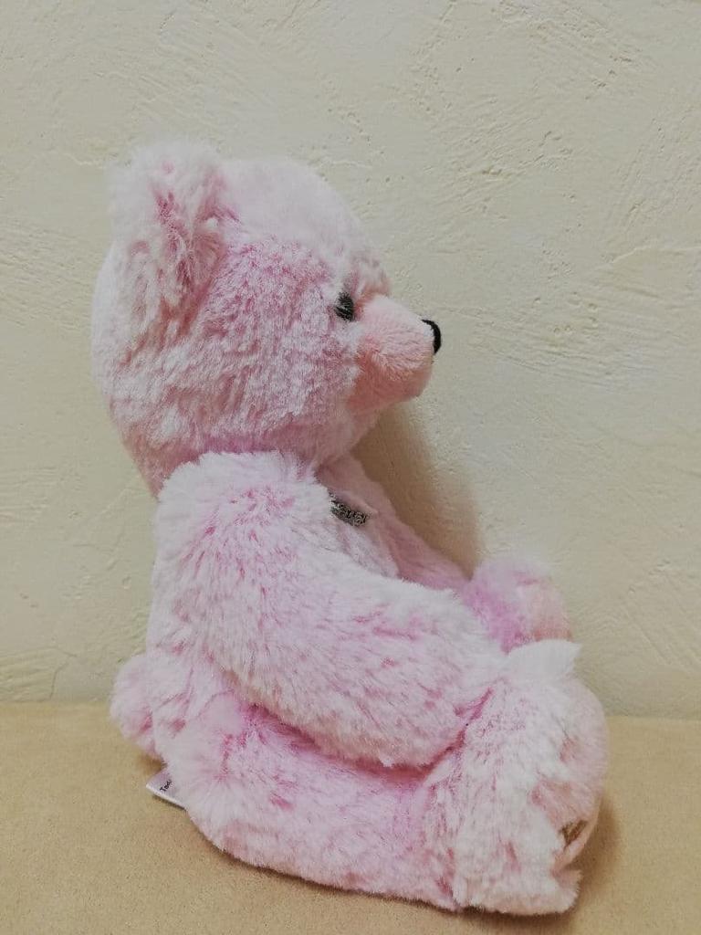 [USED] Crossfor Official Brand Authentic Teddy Bear Teddy Bear Size M