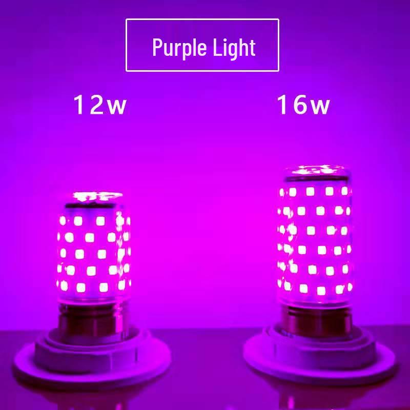 LED- Farbwechselnde Romantische Schlafzimmerlampe für Atmosphäre und Fotografie