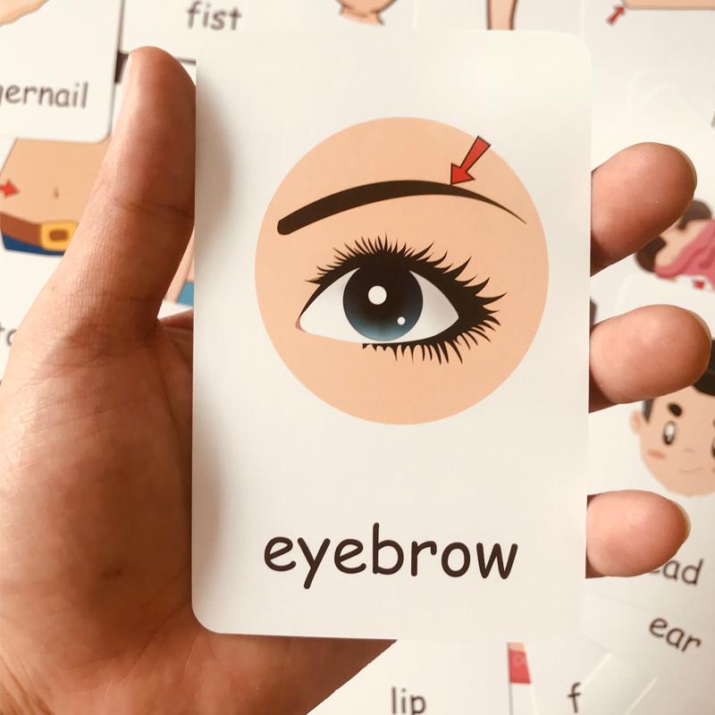 Copii învățare timpurie model de figuri de cuvinte engleze card carduri de buzunar flash jucării pentru copii rechizite pentru clasă cadou