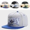 Modische Cartoon Snapback Kappe Hohe Qualität Und Einzelhandel Snapback Hut Outdoor Baseballkappe Reise Hip Hop Snapback Hut