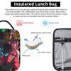 Insulated Lunch Tote Bag Villainous Comdy Accessories  Lunch Container Fashion Thermal Cooler Bento Box For Office