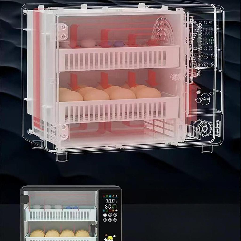 Egg Incubator for Hatching Eggs Automatic Turning Parrot Quail Goose 24