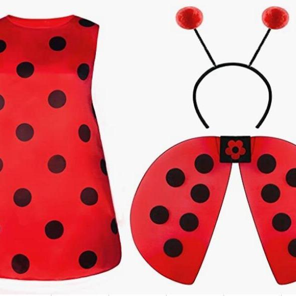 2026 New Halloween Party Red Black Adult Costume Ladybug Wings Set Cosplay Props