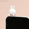 Gourmandise Miffy Hyottomo