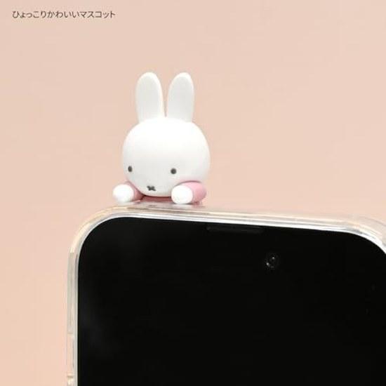 Gourmandise Miffy Hyottomo