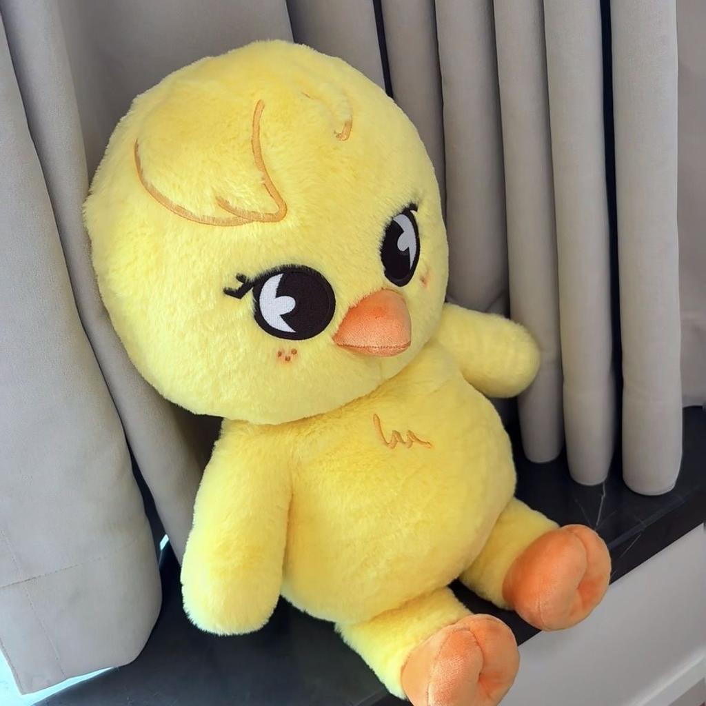 50Cm New Skzoo Cartoon Plush Doll Sitting Doll Teddy Doll Stray Kids Cartoon Doll Peripheral Birthday Gift