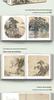 [Deluxe Edition] Song Dynasty Art Collection: Flower-and-Bird, Landscape, Figure Painting (3-Volume Set)
