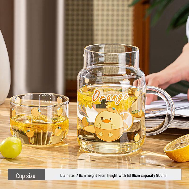 

Flewins High Boron Glass Pitcher & Handle Cup Set