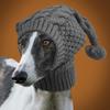 New Pet Products, Pet Wool Hats, Greyhats, Available In Autumn and Winter, Warm and Cold Accessories