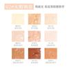 Xixi - 9 Colors Concealer Palette - Brown