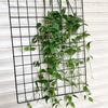 Artificial Plant No-Maintenance Long-Lasting Freshness Green Artificial Vine Realistic Texture Flexible Vines Faux Clematis