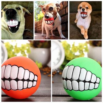 Perros – Juguetes para perros
