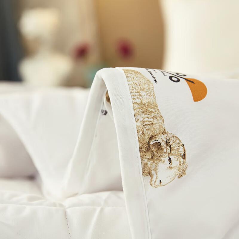 Tangna Home Graphene Wool Quilt