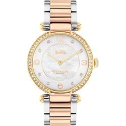 Coach CARY 34mm Stainless Steel White Dial 14504137 Wrist Watch