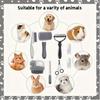 Pet Grooming Kit 8-Piece Blue Comb and Scissors Set for Dogs and Cats