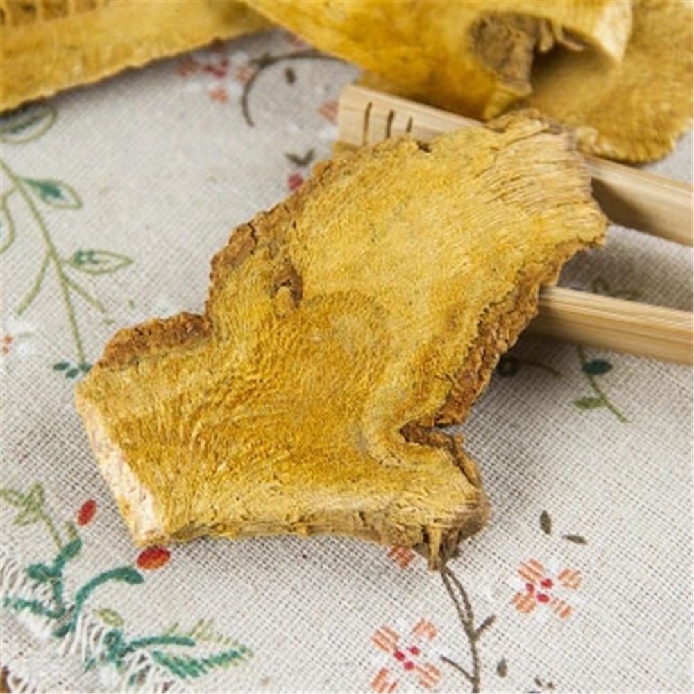 100% Natural Fallopia Japonica Polygoni Cuspidati Chinese Herb Tea