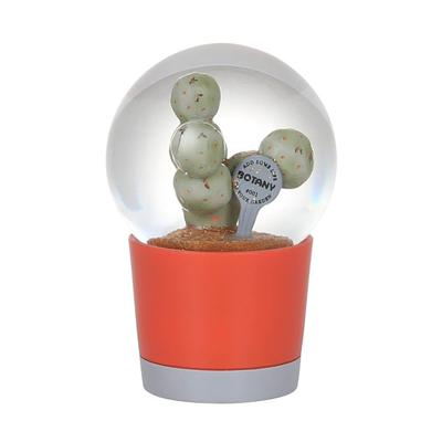 Globo de Neve Dulton #001 Jardim Geométrico de Cactos Presente, 10cm de Altura, 6.5cm de Largura, 6.5cm de Profundidade (NB-0676/001)