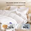 HLA 2025 All-Season Versatile Blended Quilt