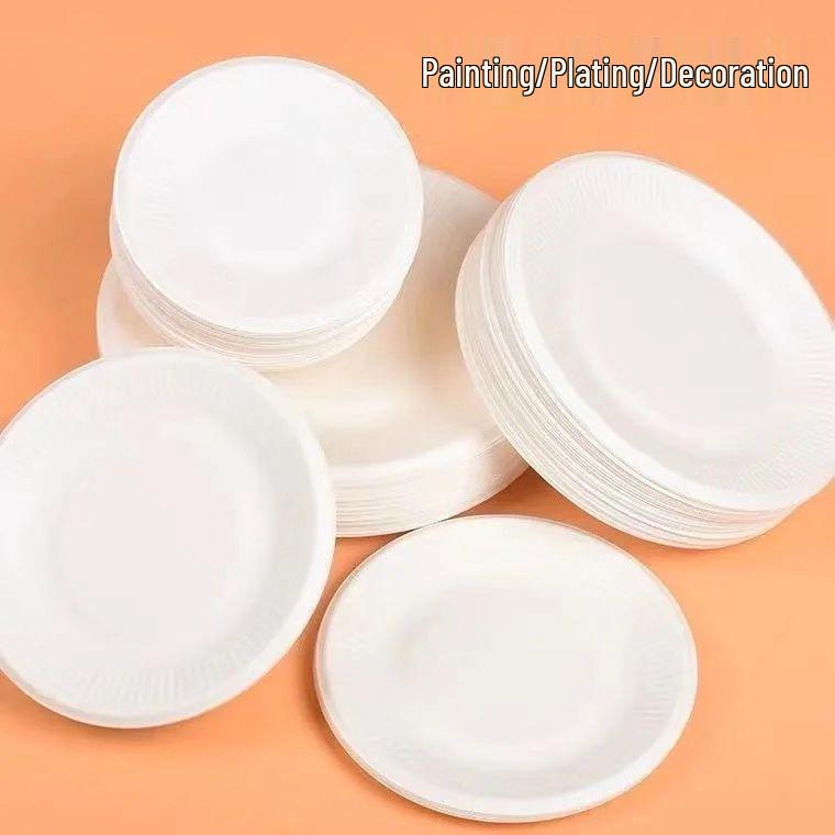 Hand-Painted DIY White Paper Plates for Kindergarten Arts & Crafts