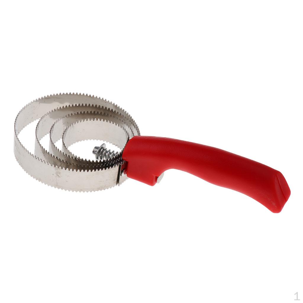 

Лошадиный гребешок красный