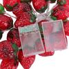 9.8ft 20LEDs Fruit String Lights Battery Operated Strawberry Lamp String Lights for Christmas Parties Outdoor Decorative Lights