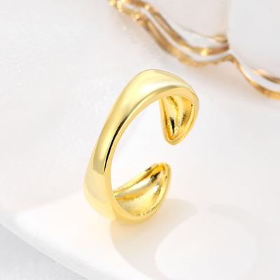 Open Ring Thick Layer Couple Ring Women's Style Light Luxury Niche Design Simple and Fresh Food Ring Buckle